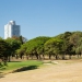 <h2>2023 South America Golf Cruise</h2> 10 Nights | 4 Rounds | Buenos Aires – Rio de Janeiro | February 25 – March 7