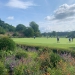 <h2>2023 June Irish Links Golf Cruise</h2>11 Nights | 3-6 Rounds | Dublin - Southampton | June 13 - 24