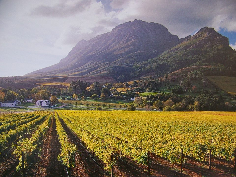 <h2>The Best of South Africa Escorted 2015</h2>13 Nights, 3 on Safari at Shamwari Game Reserve | 5 Rounds | November 1 – 15