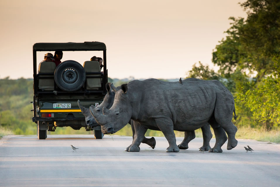 <h2>The Best of South Africa 2017</h2>14 Nights, 4 on Safari | 5 Rounds | Wine Tours & Sightseeing | November 3 – 17