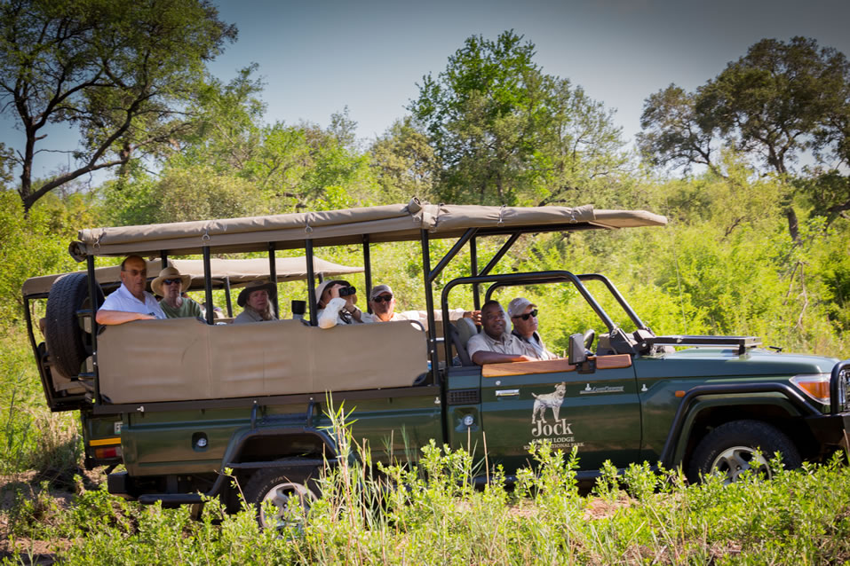 <h2>The Best of South Africa 2017</h2>14 Nights, 4 on Safari | 5 Rounds | Wine Tours & Sightseeing | November 3 – 17