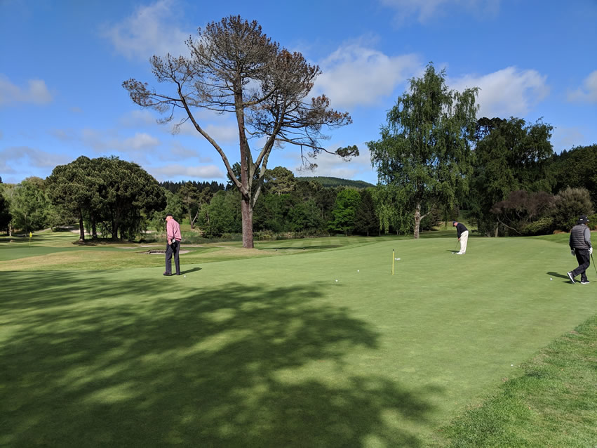 <h2>The Best of New Zealand Escorted 2018</h2>Taupo, Napier, Wellington & Queenstown