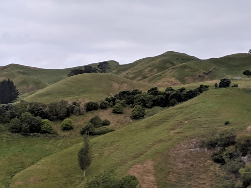 <h2>The Best of New Zealand Escorted 2018</h2>Taupo, Napier, Wellington & Queenstown