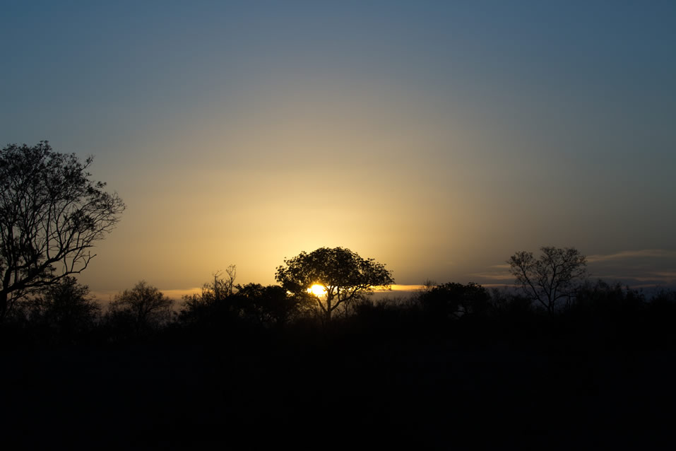 <h2>The Best of South Africa Escorted 2018</h2>Golf, Kruger Safari, Cape Town, the Winelands & Garden Route