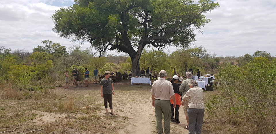 <h2>The Best of South Africa Escorted 2018</h2>Golf, Kruger Safari, Cape Town, the Winelands & Garden Route